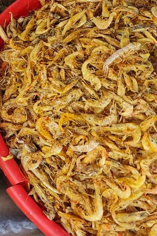 Tôm khô loại lớn